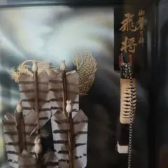 Item thumbnail for item 6ea1192e-e6db-40c1-8bac-d9ae49e3a117