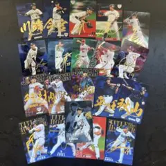 サイン入りプロ野球トレーディングカードセット