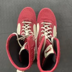 Item thumbnail for item 7e896def-99c5-422d-a7a9-dadd4610b1ac