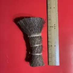 Item thumbnail for item abdcfa8a-c5bd-45e1-8eb7-f80d35b1902a