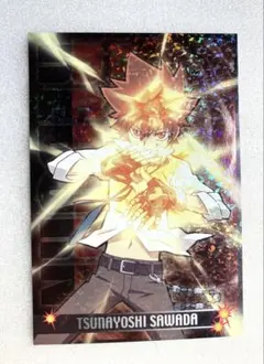 家庭教師ヒットマンREBORN! 沢田綱吉 バトルカード - メルカリ