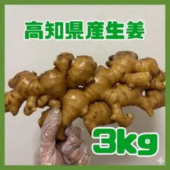 農薬不使用 ひね生姜 4kg しまんと - メルカリ
