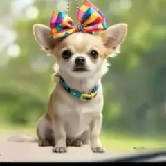 チワワ キーホルダー 12