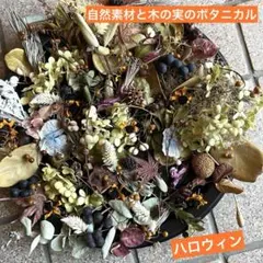 自然素材と木の実のボタニカル ドライフラワー 花材 木の実 リース キャンドル
