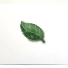 No.3399 色鉛筆画　デジタル絵画　「小さな葉っぱ」