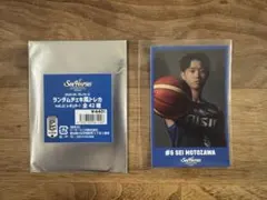 シーホース三河 2025-26ランダムチェキ風トレカ vol.1#5 元澤誠