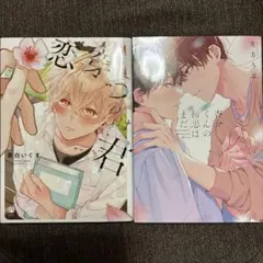 Item thumbnail for item 6adab467-8f1f-4fa3-a523-f108a3f1a087