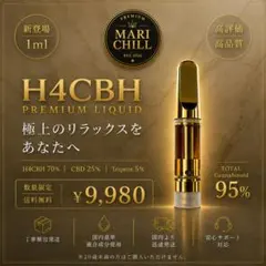FUJIサティバ プレミアム h4CBH CRDP CRDH HHBD CNP - メルカリ