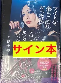 Item thumbnail for item ae66db0b-e3ba-45d5-bb90-d76e6fb69de5