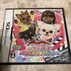 ワンタメ バラエティチャンネル