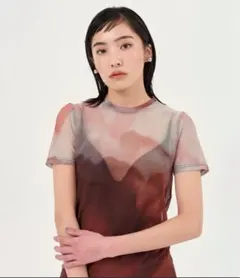 TINA:JOJUN SHEER TOPS シアートップスのサムネイル