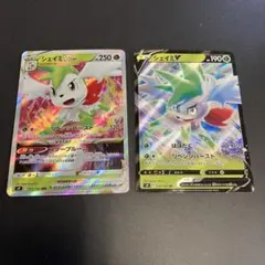 シェイミ VSTAR & V セット 2枚 013/100