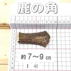2026年最新】鹿の角加工の人気アイテム - メルカリ