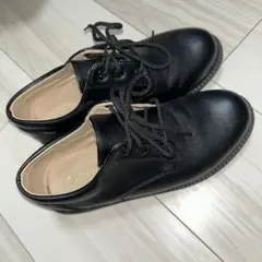 Item thumbnail for item 39d3b300-25ee-4a5c-80ed-e110b3a73667