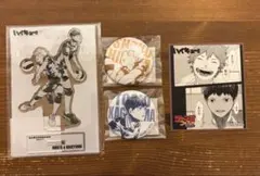 ハイキュー!! 観光特使 日向翔陽 影山飛雄 缶バッジ アクリルスタンド