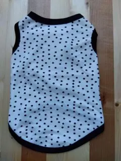 Item thumbnail for item dfd6c96b-eb8a-4abe-869d-4c1755360486