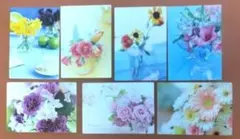 Item thumbnail for item 5cdd7e39-eab4-45c6-ac5b-e497a89e7ca6