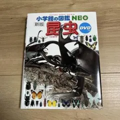 小学校の図鑑NEO 昆虫 DVD付き