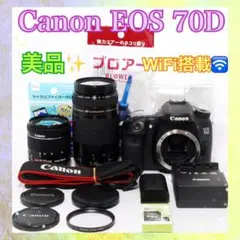 2025年最新】eos70d レンズの人気アイテム - メルカリ