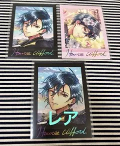 あくねこ ぱしゃこれプレミアム ホログラムレア ノーマル ハウレス