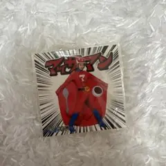 マッサマンシール1枚