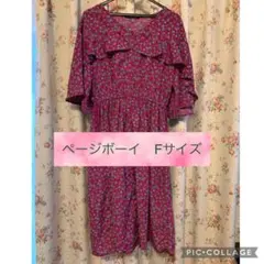 ページボーイ　Fサイズ 半袖 ワンピース　花柄　エンジ　フリル