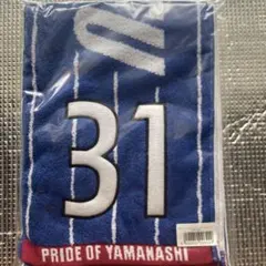 マイケルウッド　ヴァンフォーレ甲府
