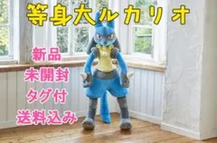 2025年最新】ポケモン 等身大 ルカリオの人気アイテム - メルカリ