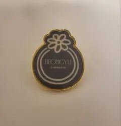 MUSEUM ピンズ TXT BEOMGYU