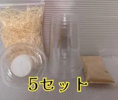 Item thumbnail for item 751cdcf0-768b-4d85-a819-8ae74408dcd0