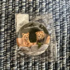 富士サファリパーク ライオン缶バッジ