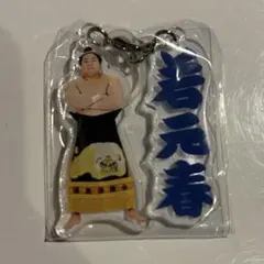 若元春 大相撲 めじるしアクセサリー 大相撲ガチャ