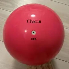 Item thumbnail for item 44cbdc19-fb24-4682-bf80-a2637e15f2c6