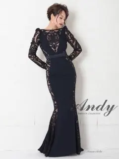 Andy 黒 レース ナイトドレス