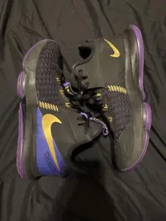 nike レブロンフィットネス バスケットボール バッシュ