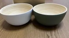 Item thumbnail for item 1c780a4c-7947-436a-8b73-20931a444391