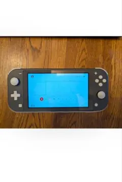 【美品】Nintendo Switch Lite 本体 ブラック（ケース付き）