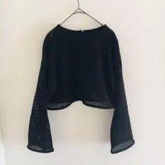 メッシュトップス　クロップド丈　フレアスリーブ　背面チャック　カジュアル