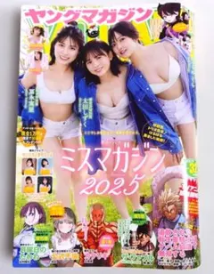 週刊ヤングマガジン 2026年7月20日 No.32 7月6日発売のサムネイル