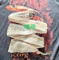 専用お纏めになります‼️約１７０㌢　妊婦さんの抜け殻❣️お守り❣️蛇の抜け殻‼️