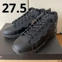 箱無し　アオラギ　EXP ミッド　WP ハイテック