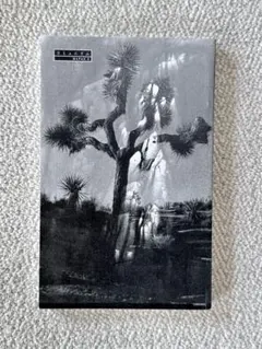 Item thumbnail for item 7a230900-711e-4ad7-a584-338213d41e9c