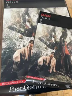 ポルノグラフィティ　ポスター2枚