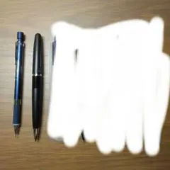 SamsnFamily様専用　ステッドラー　コクーン