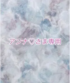 アンナ♡さま専用