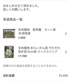 ちびっと様 リクエスト 2点 まとめ商品