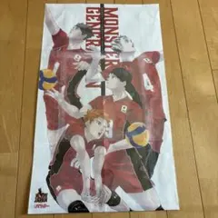 ハイキュー選手ポスター 妖怪世代