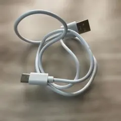 USB Type-C 充電ケーブル ホワイト