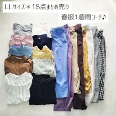 No.3-21＊LLサイズ18点まとめ売り＊春服1週間コーデ♪コーデセット♪