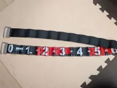 Rapala Fisherman's Ruler フィッシングメジャー
